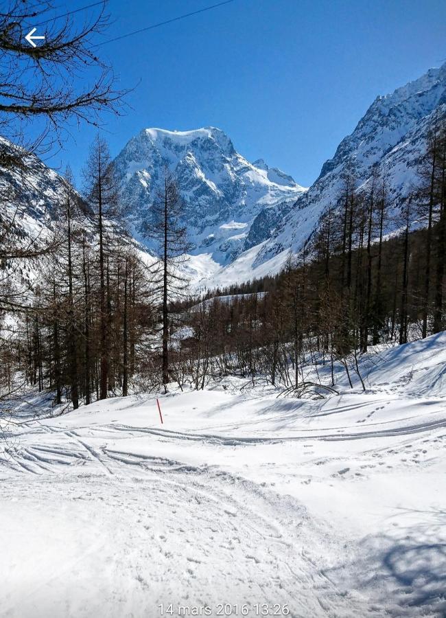 Le Panorama - Appartement 54 A Arolla Face Aux Montagnes A 150M Des Pistes Evolene Ngoại thất bức ảnh