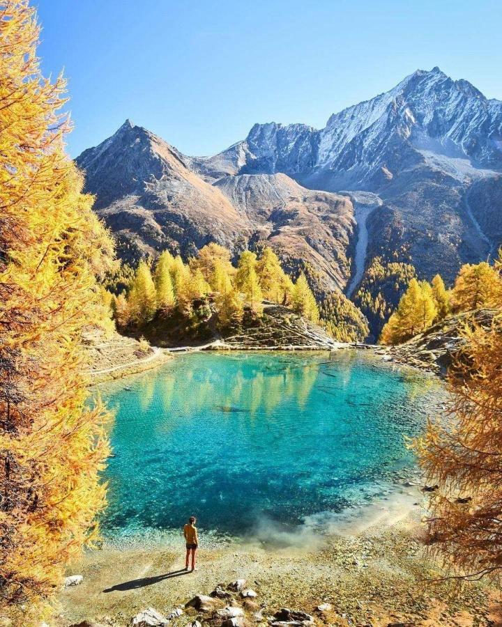 Le Panorama - Appartement 54 A Arolla Face Aux Montagnes A 150M Des Pistes Evolene Ngoại thất bức ảnh