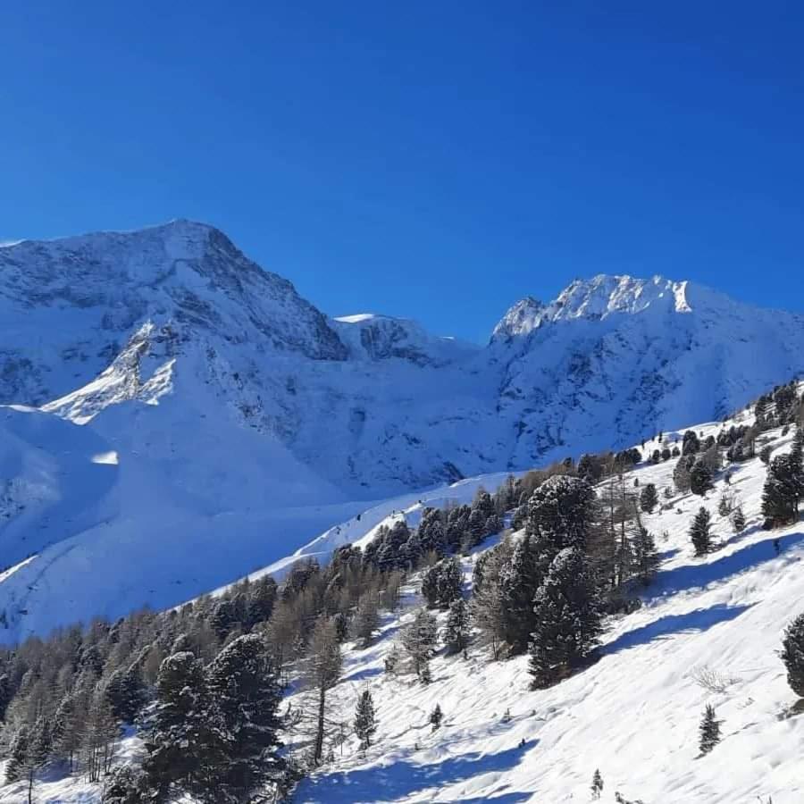 Le Panorama - Appartement 54 A Arolla Face Aux Montagnes A 150M Des Pistes Evolene Ngoại thất bức ảnh